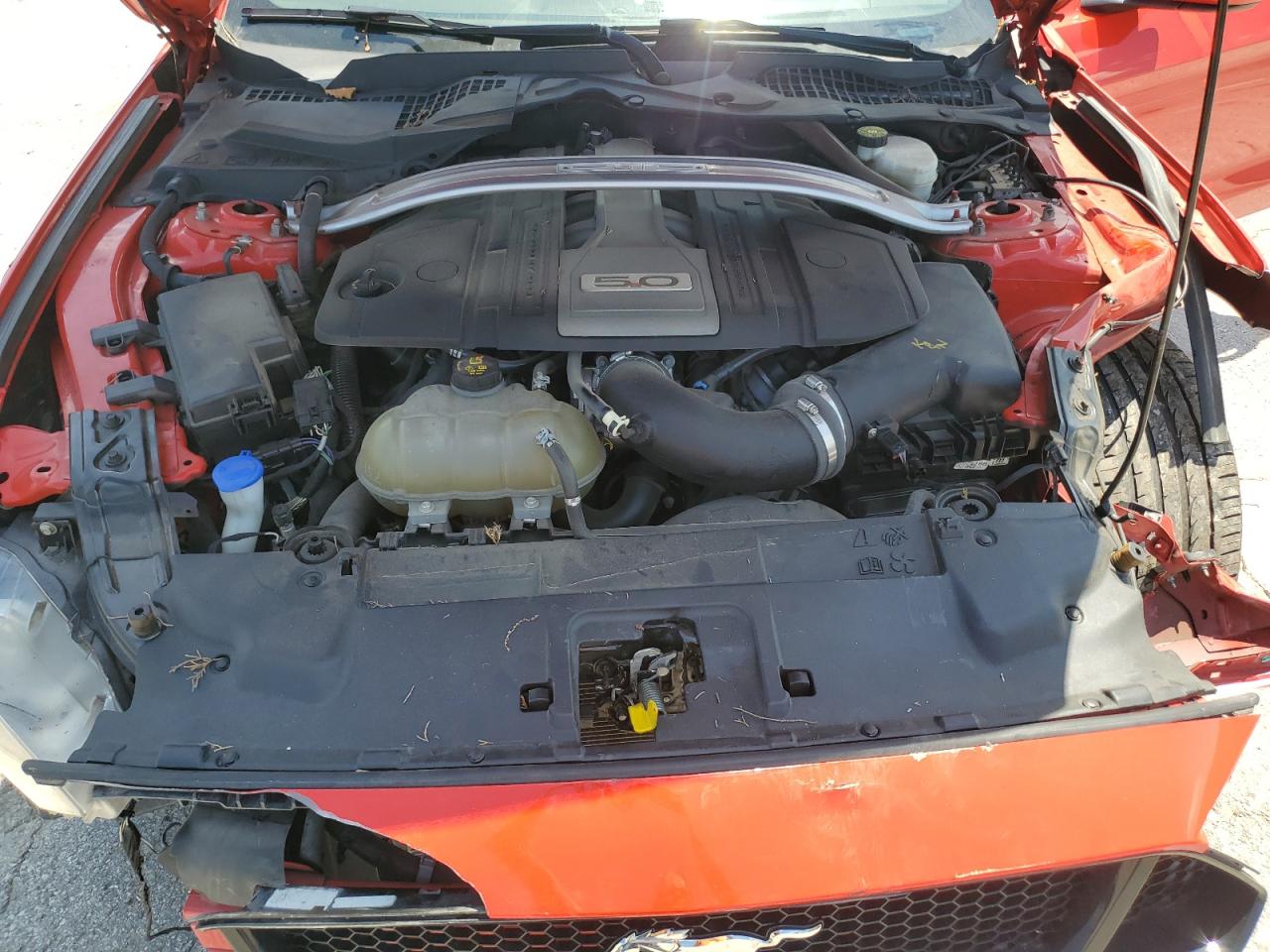 2020 Ford Mustang Gt VIN: 1FA6P8CF4L5135449 Lot: 66922165