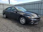 2025 HYUNDAI ELANTRA SEL SPORT   à vendre chez Copart ON - OTTAWA