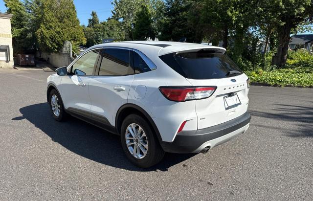  FORD ESCAPE 2020 Biały