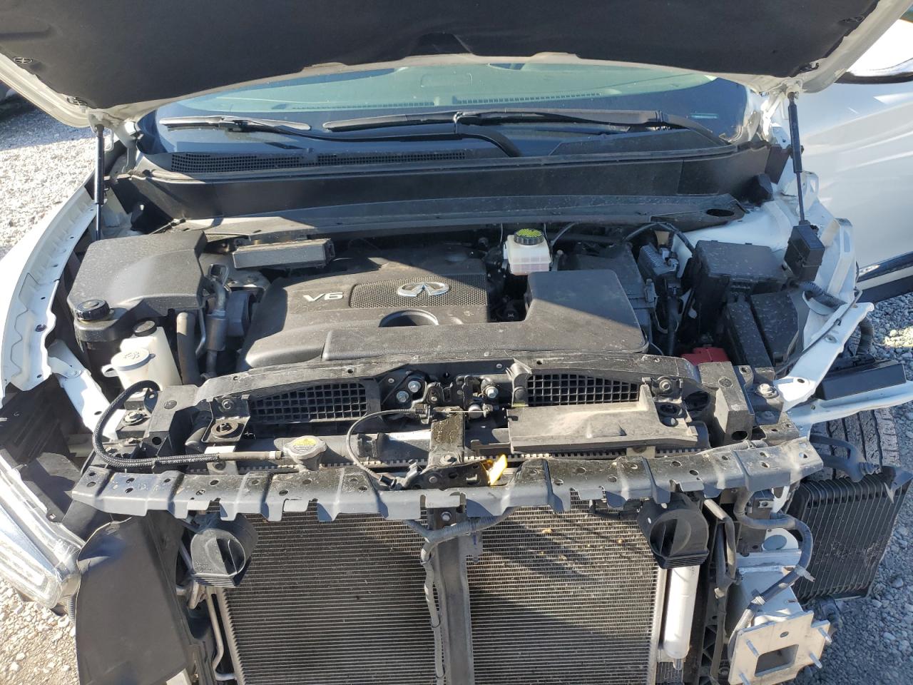 2019 Infiniti Qx60 Luxe VIN: 5N1DL0MN9KC562362 Lot: 63654565