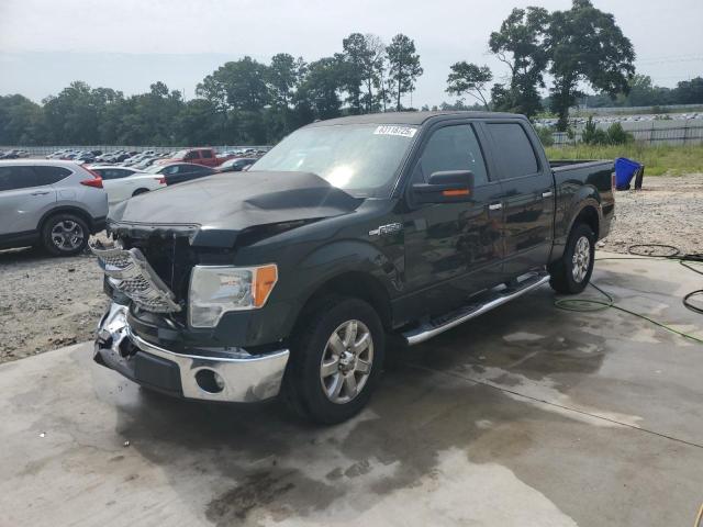  FORD F-150 2013 Zielony