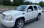 2007 CADILLAC ESCALADE LUXURY   à vendre chez Copart MA - SOUTH BOSTON