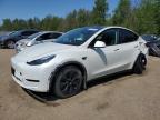 2024 TESLA MODEL Y    à vendre chez Copart ON - COOKSTOWN