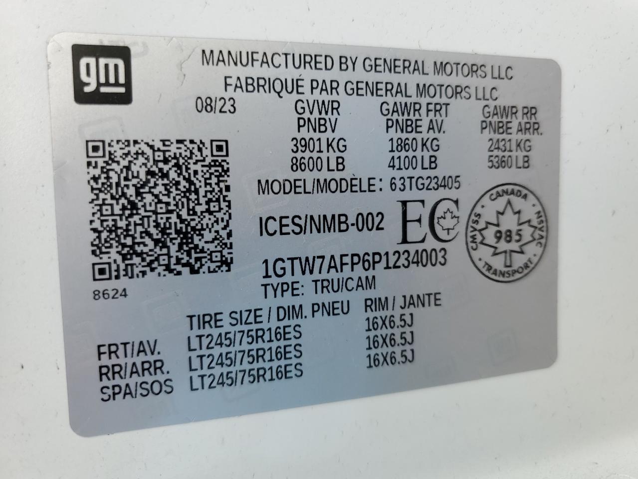 2023 GMC Savana G2500 VIN: 1GTW7AFP6P1234003 Lot: 64752455