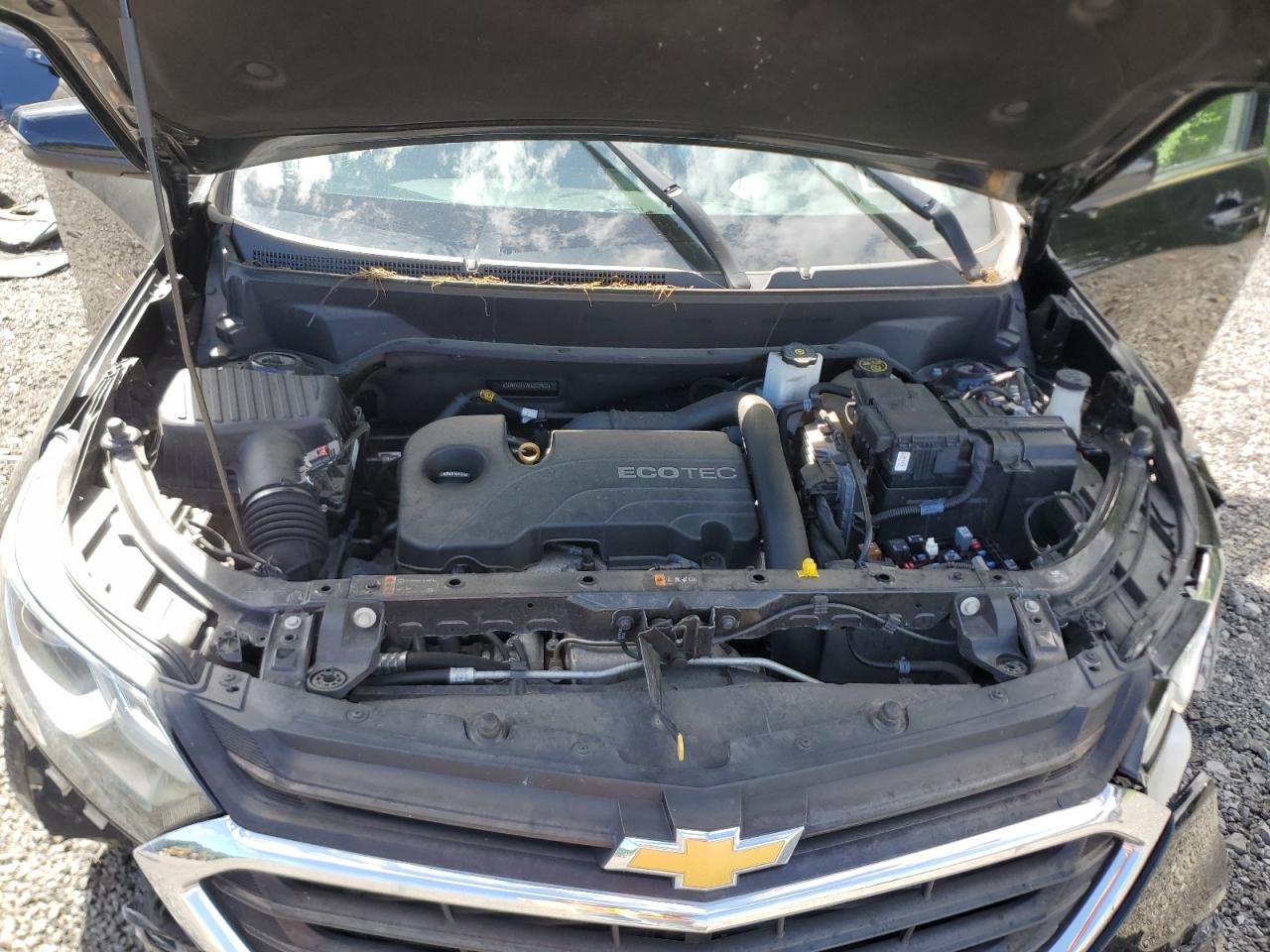 2019 Chevrolet Equinox Lt VIN: 2GNAXUEV7K6202962 Lot: 65373195