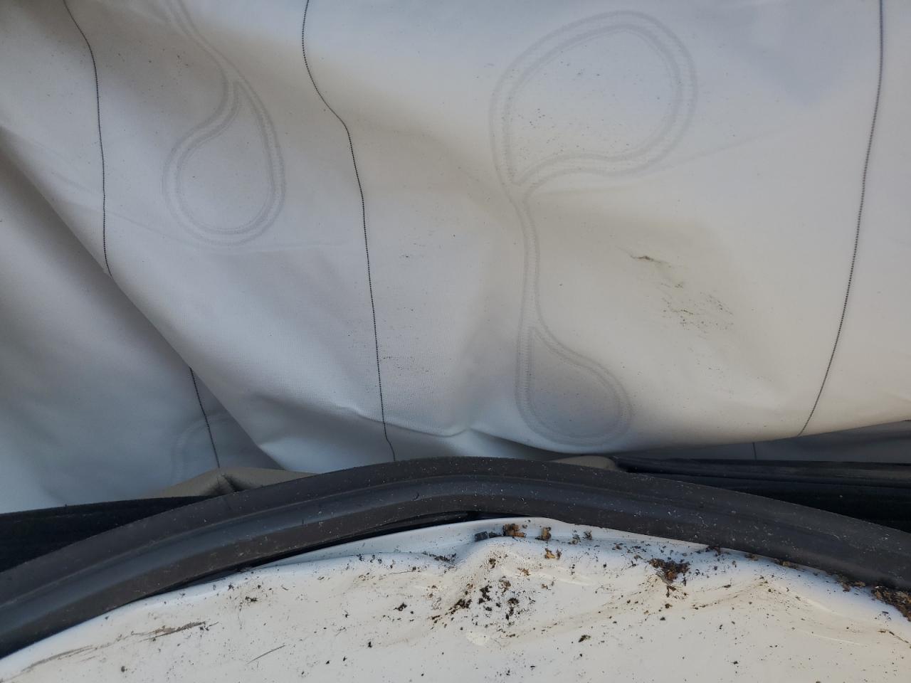 2019 Toyota 4Runner Sr5/Sr5 Premium VIN: JTEBU5JR8K5619647 Lot: 63392065