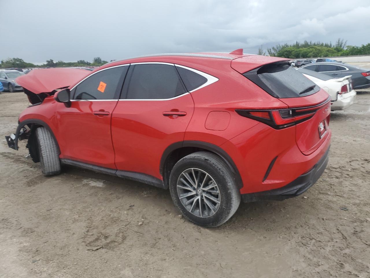 NX NX