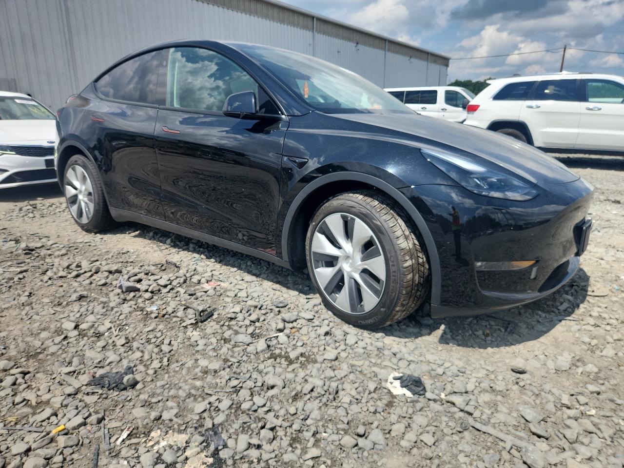 2023 Tesla Model Y VIN: 7SAYGAEE1PF805187 Lot: 64829605