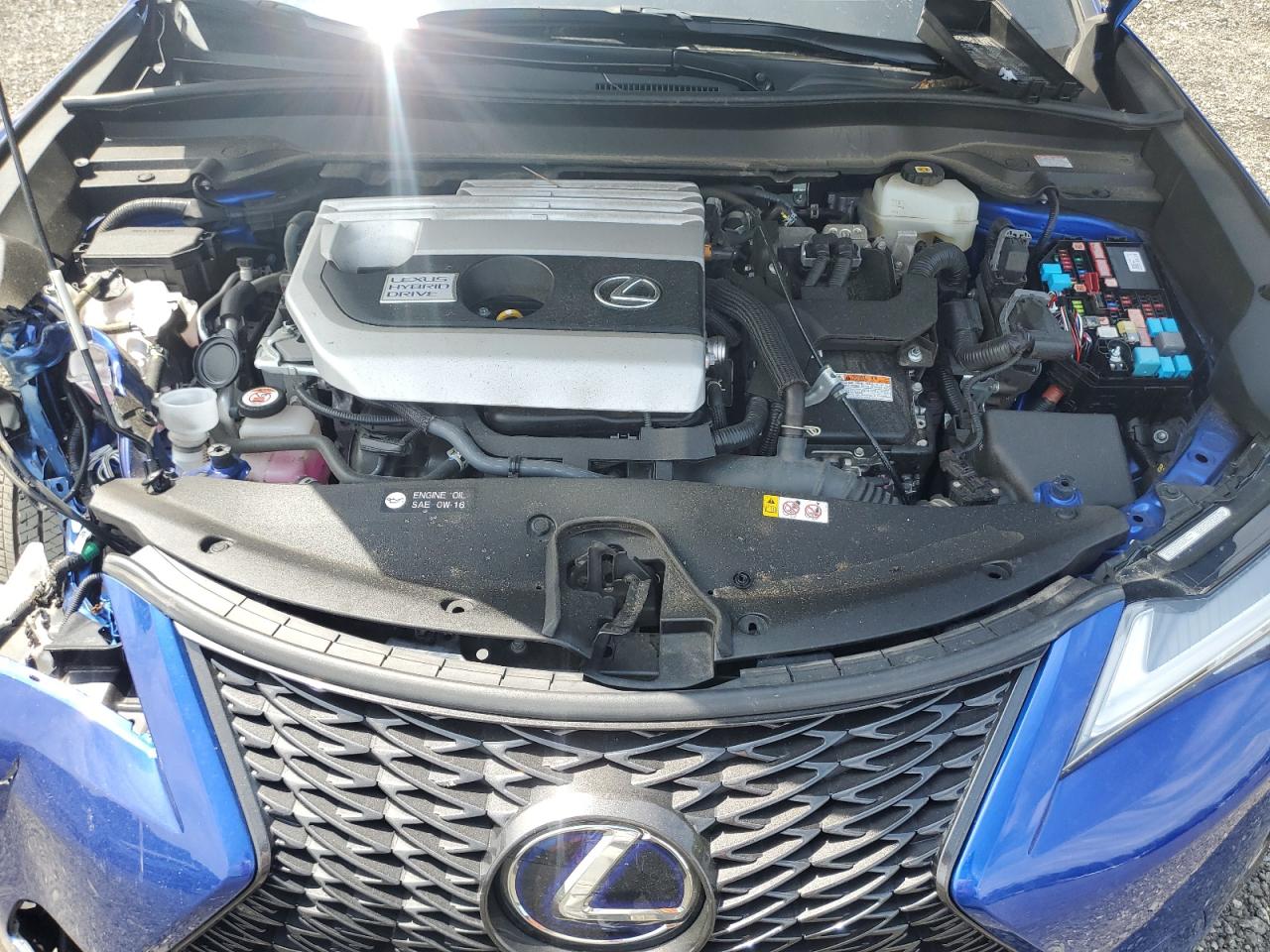 2021 Lexus Ux 250H VIN: JTHR9JBH5M2048706 Lot: 64455765