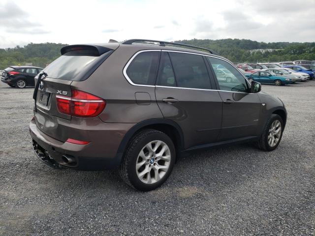 Parquets BMW X5 2013 Brązowy