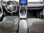 2025 TOYOTA RAV4 LE   for sale at Copart TX - SAN ANTONIO