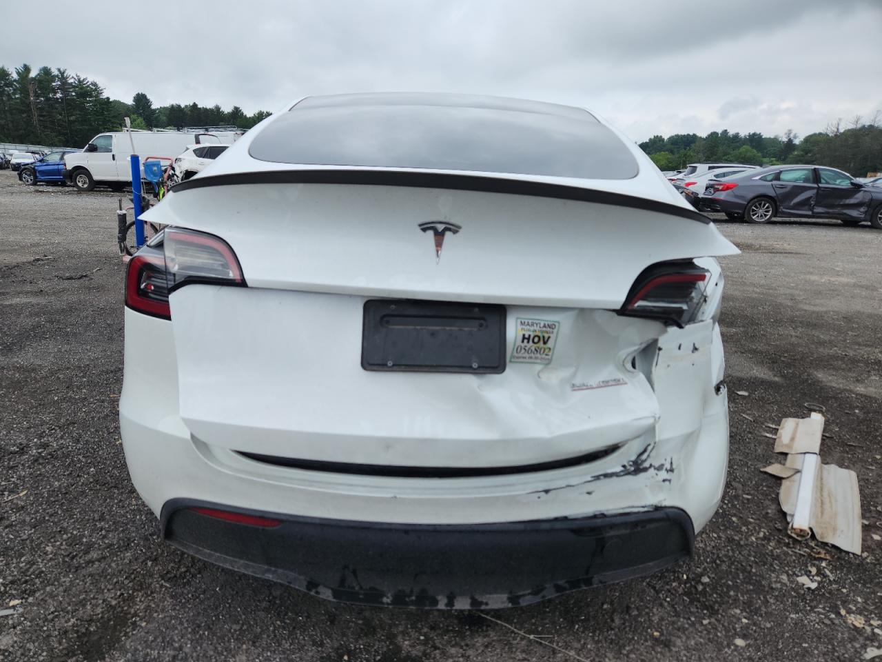 2024 Tesla Model Y VIN: 7SAYGDEF6RF041558 Lot: 64287405