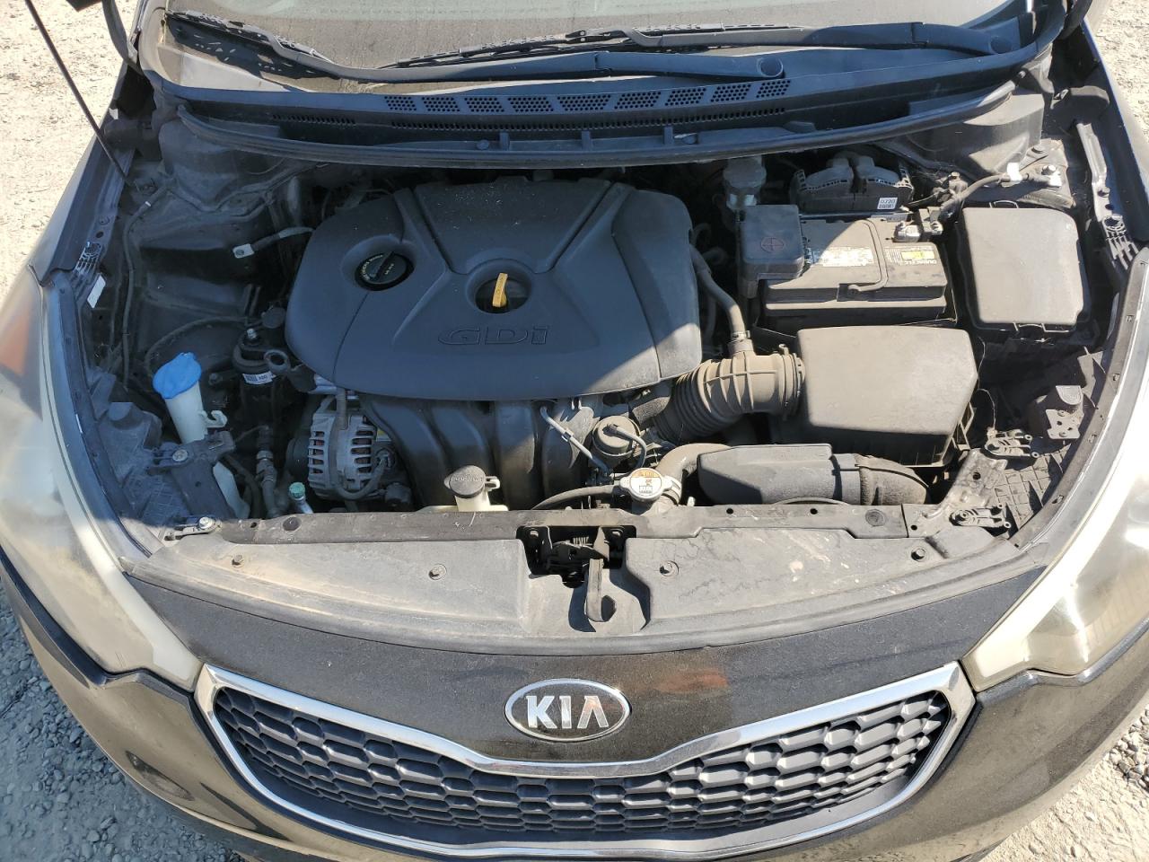 2016 Kia Forte Lx VIN: KNAFK5A86G5648331 Lot: 64715945