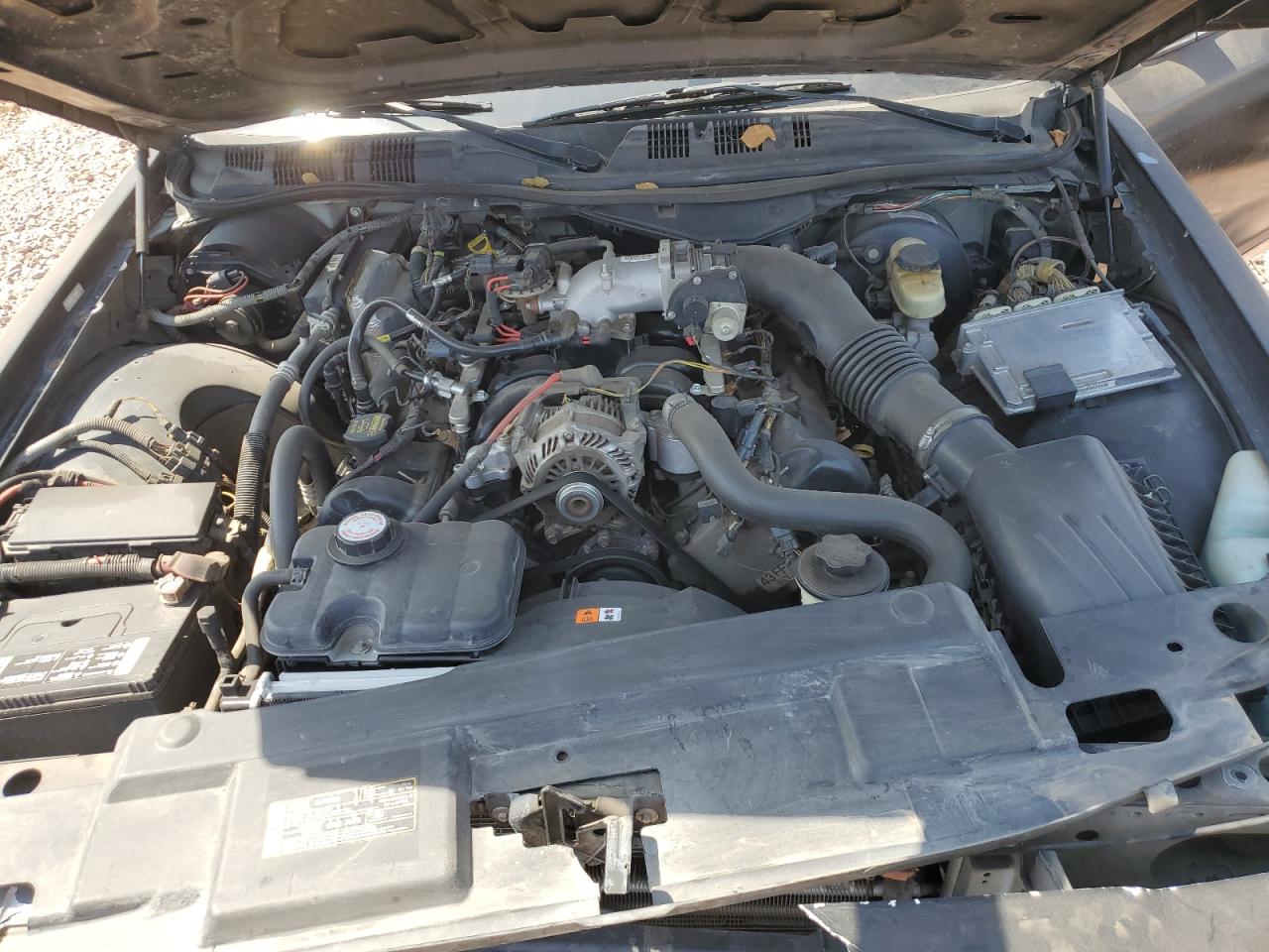 2009 Ford Crown Victoria Police Interceptor VIN: 2FAHP71V59X104330 Lot: 64233845