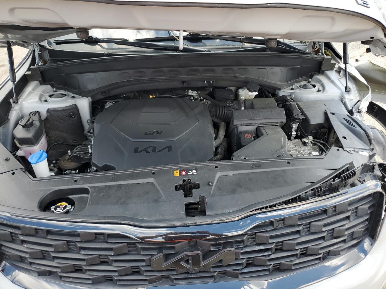 2022 Kia Telluride Sx VIN: 5XYP5DHC9NG294229 Lot: 64389595
