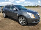 2010 CADILLAC SRX PREMIUM COLLECTION   à vendre chez Copart AB - CALGARY