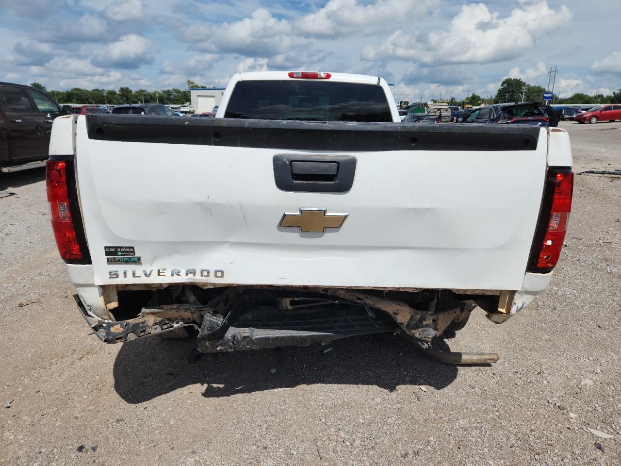 2010 Chevrolet Silverado C1500 VIN: 1GCSCPE02AZ249219 Lot: 64620825