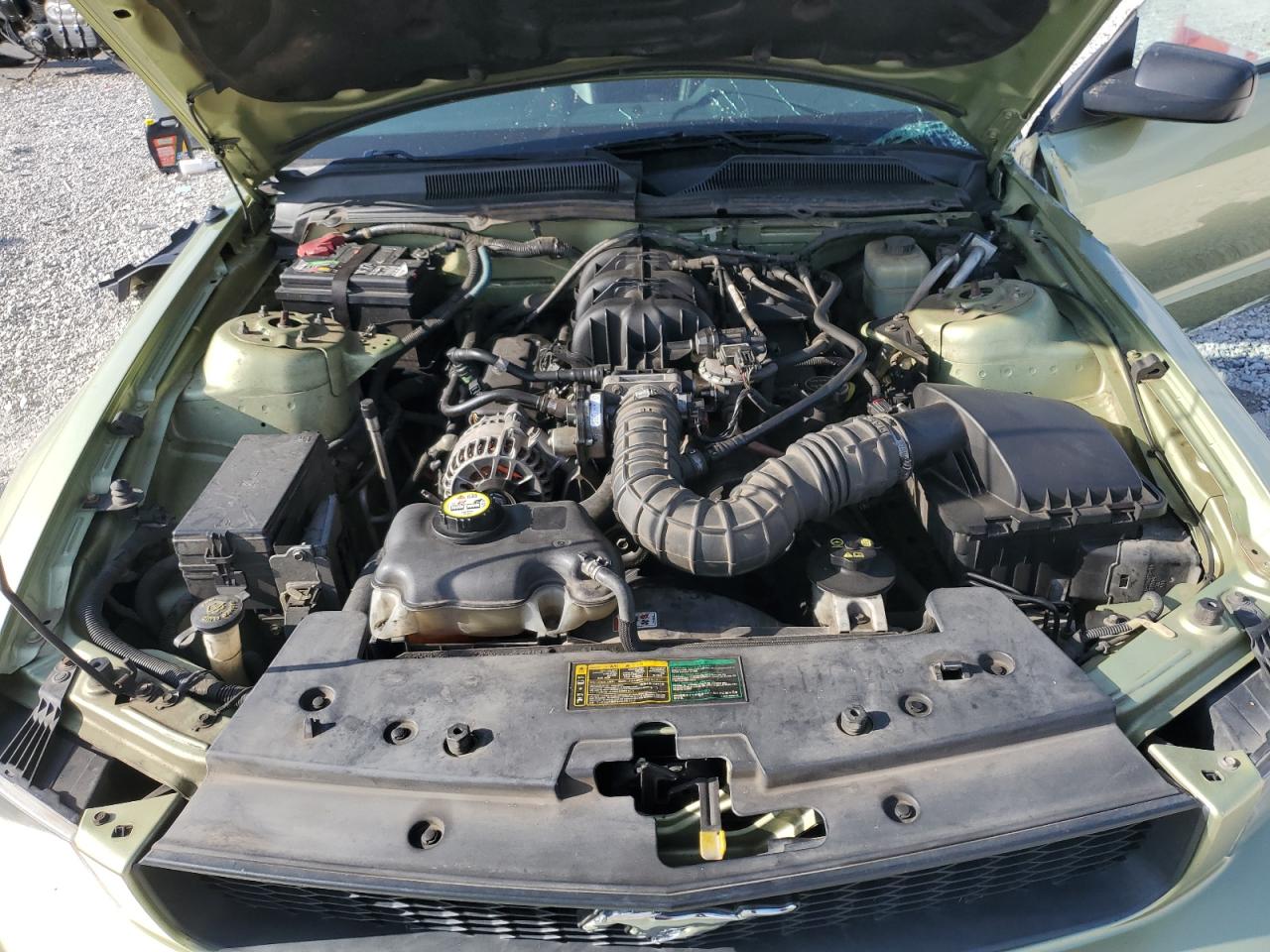 2006 Ford Mustang VIN: 1ZVFT80N465131758 Lot: 63397375