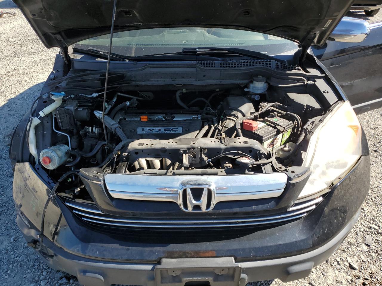 2007 Honda Cr-V Ex VIN: JHLRE48597C097968 Lot: 64772895