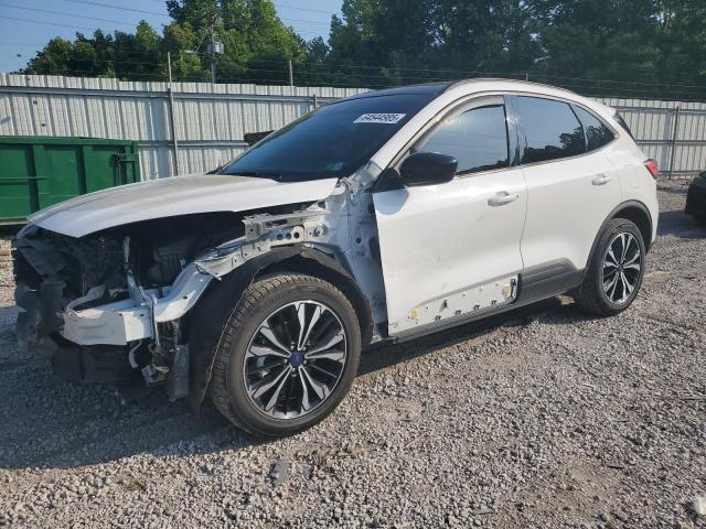  FORD ESCAPE 2022 Белы