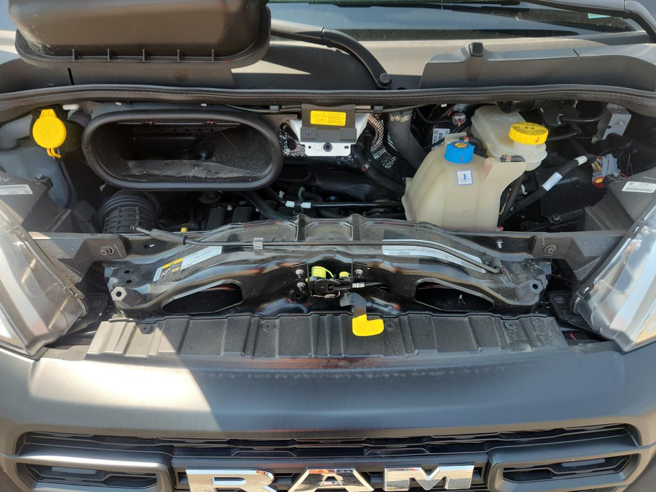 2025 Ram Promaster 1500 1500 Standard VIN: 3C6LRVNG4SE505644 Lot: 66908835