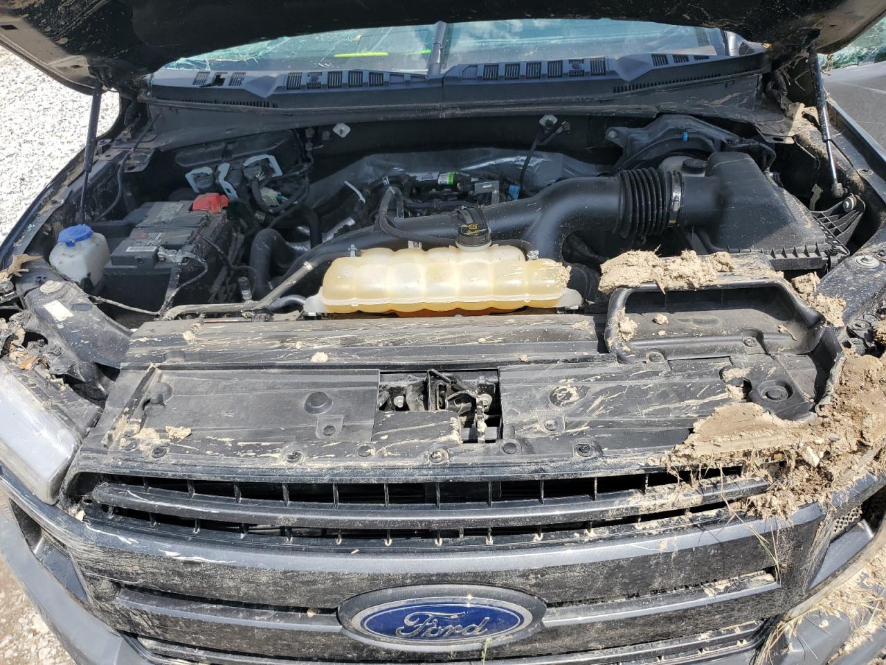 2020 Ford F150 Supercrew VIN: 1FTEW1EP9LFC64870 Lot: 63343945