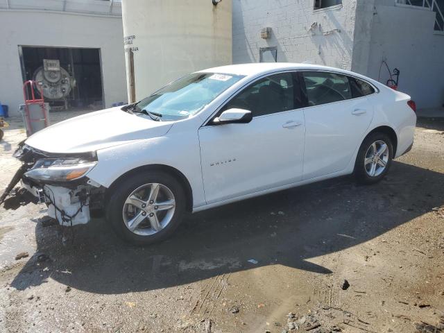  CHEVROLET MALIBU 2023 Biały