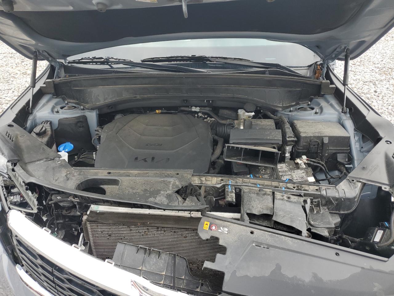 2022 Kia Telluride Lx VIN: 5XYP2DHCXNG312083 Lot: 64025375