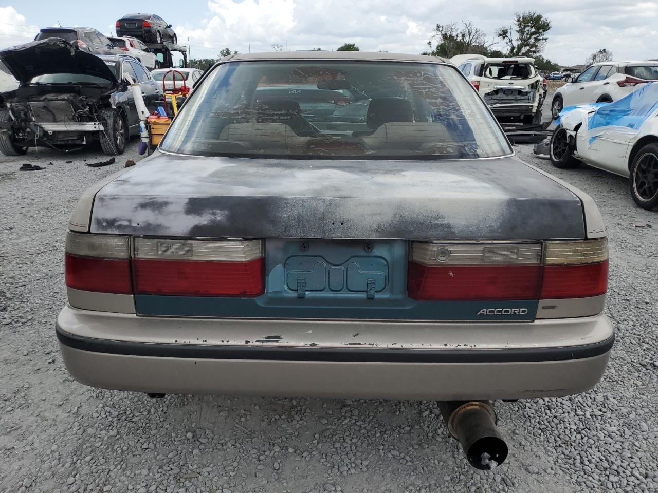 1993 Honda Accord Lx VIN: 1HGCB7654PA037013 Lot: 65439485