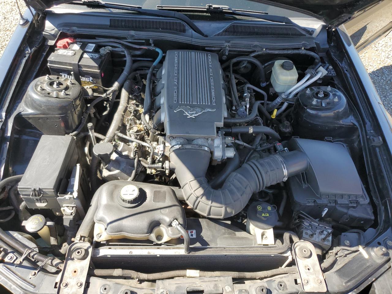 2008 Ford Mustang Gt VIN: 1ZVHT82H485163659 Lot: 63999055