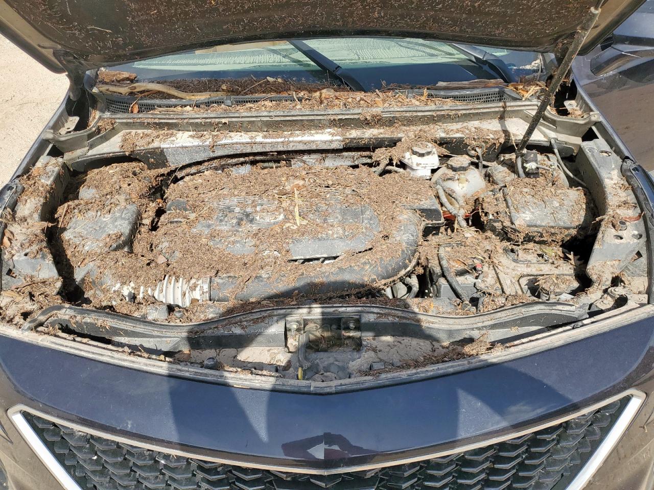 2022 Cadillac Xt4 Sport VIN: 1GYFZER42NF155764 Lot: 64875865
