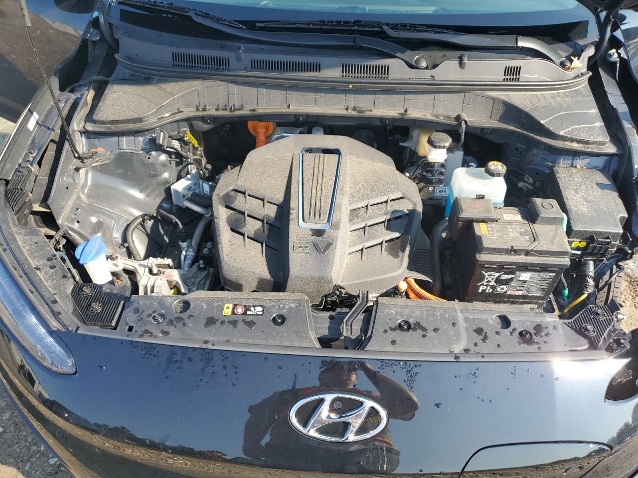 2023 Hyundai Kona Se VIN: KM8K23AG3PU190522 Lot: 65655615