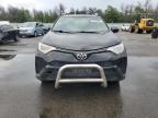 2016 TOYOTA RAV4 LE   for sale at Copart NY - LONG ISLAND