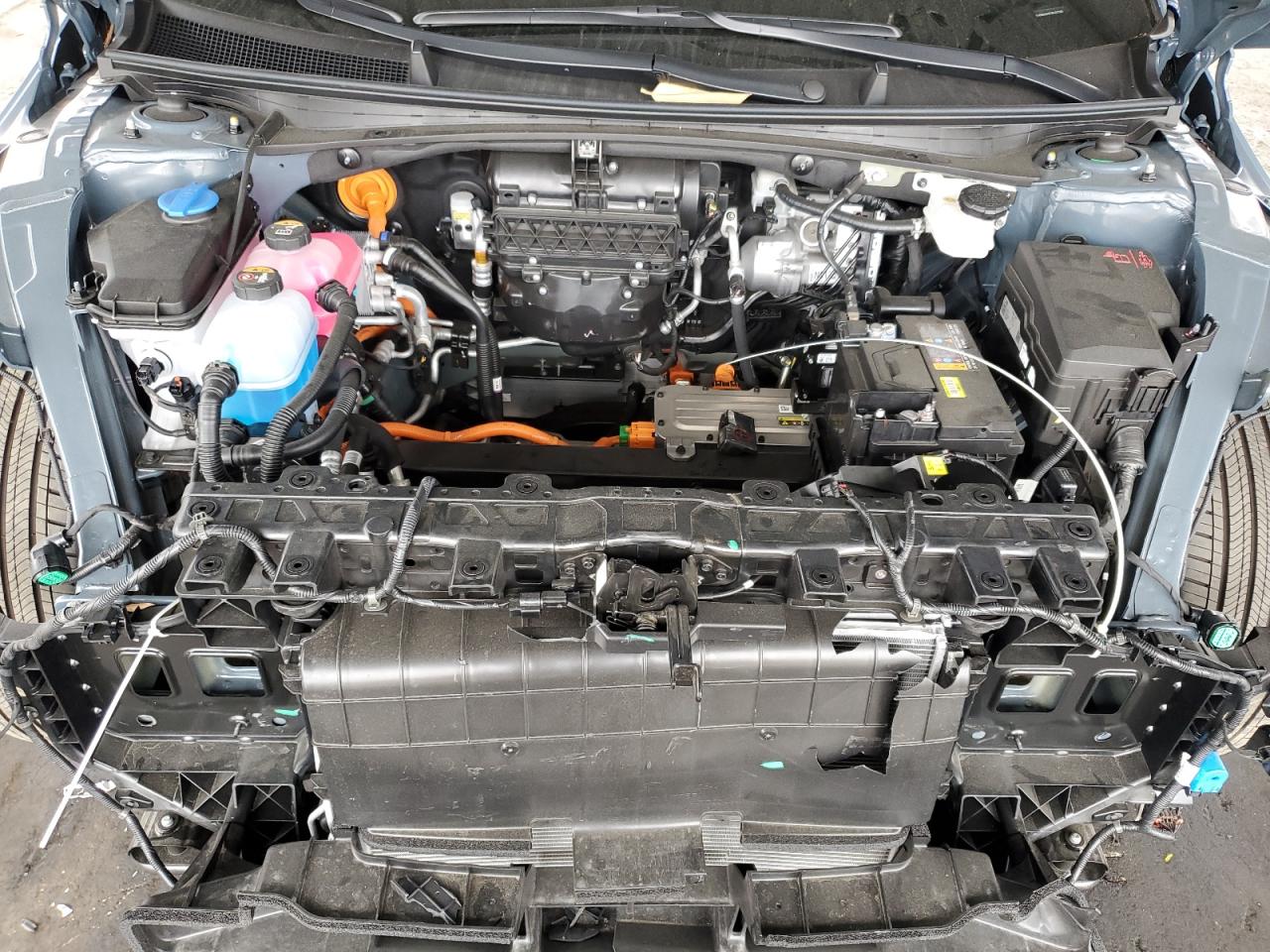 2024 Hyundai Ioniq 5 Sel VIN: KM8KN4DE1RU317259 Lot: 65238895