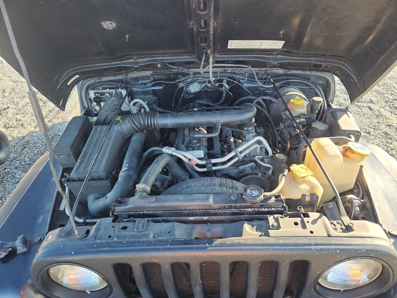 2002 Jeep Wrangler / Tj Sport VIN: 1J4FA49S62P749862 Lot: 64505165