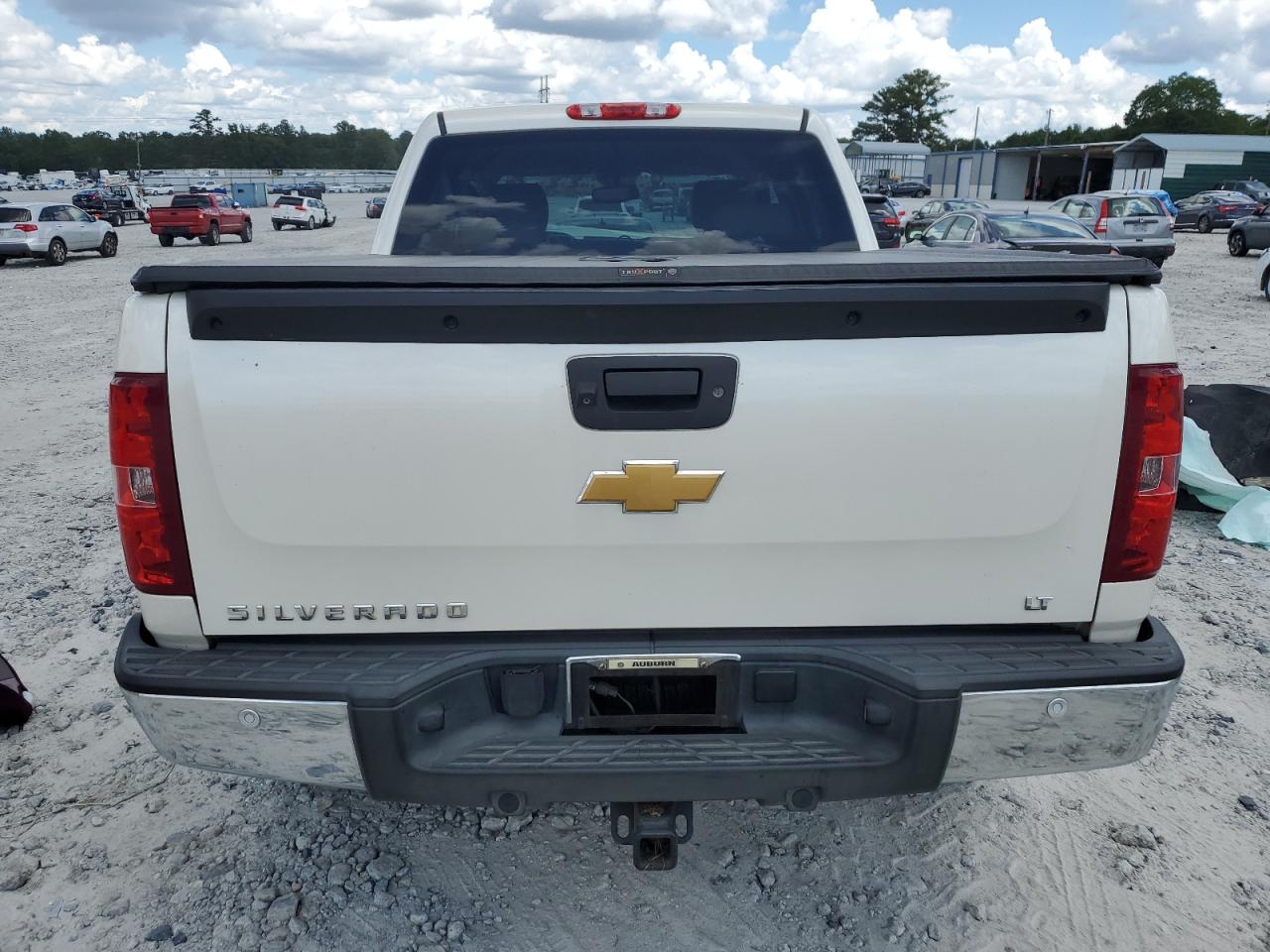 2013 Chevrolet Silverado C1500 Lt VIN: 3GCPCSE01DG198325 Lot: 65396265