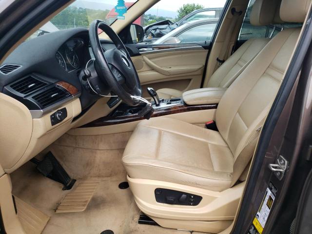 Parquets BMW X5 2013 Brązowy