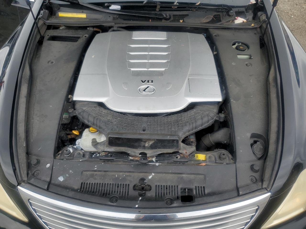 2008 Lexus Ls 460 VIN: JTHBL46F485059066 Lot: 64803835