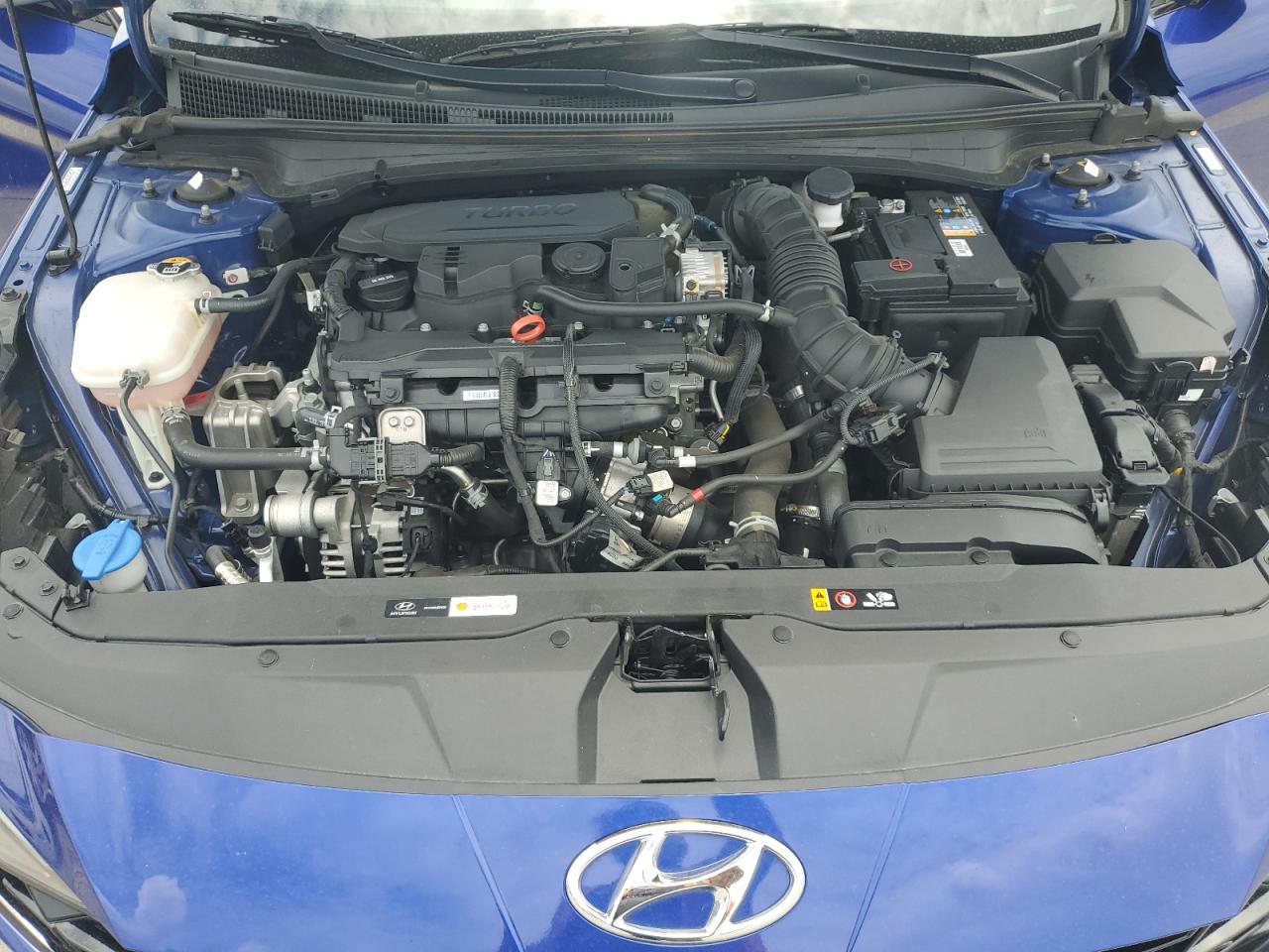 2022 Hyundai Elantra N Line VIN: KMHLR4AF8NU356186 Lot: 64324275