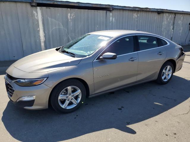  CHEVROLET MALIBU 2024 tan