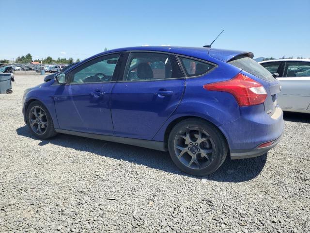Hatchbacks FORD FOCUS 2014 Blue