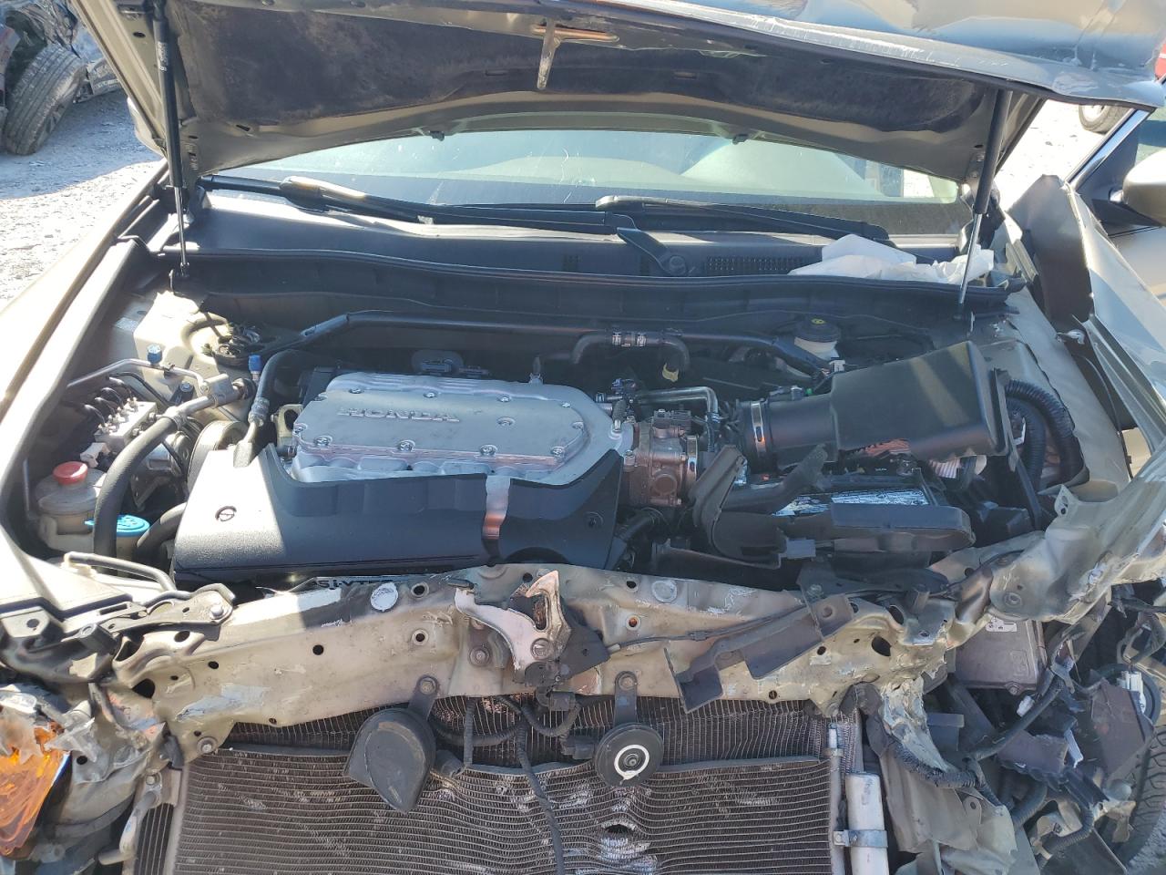 2010 Honda Accord Exl VIN: 1HGCP3F80AA008233 Lot: 64877955