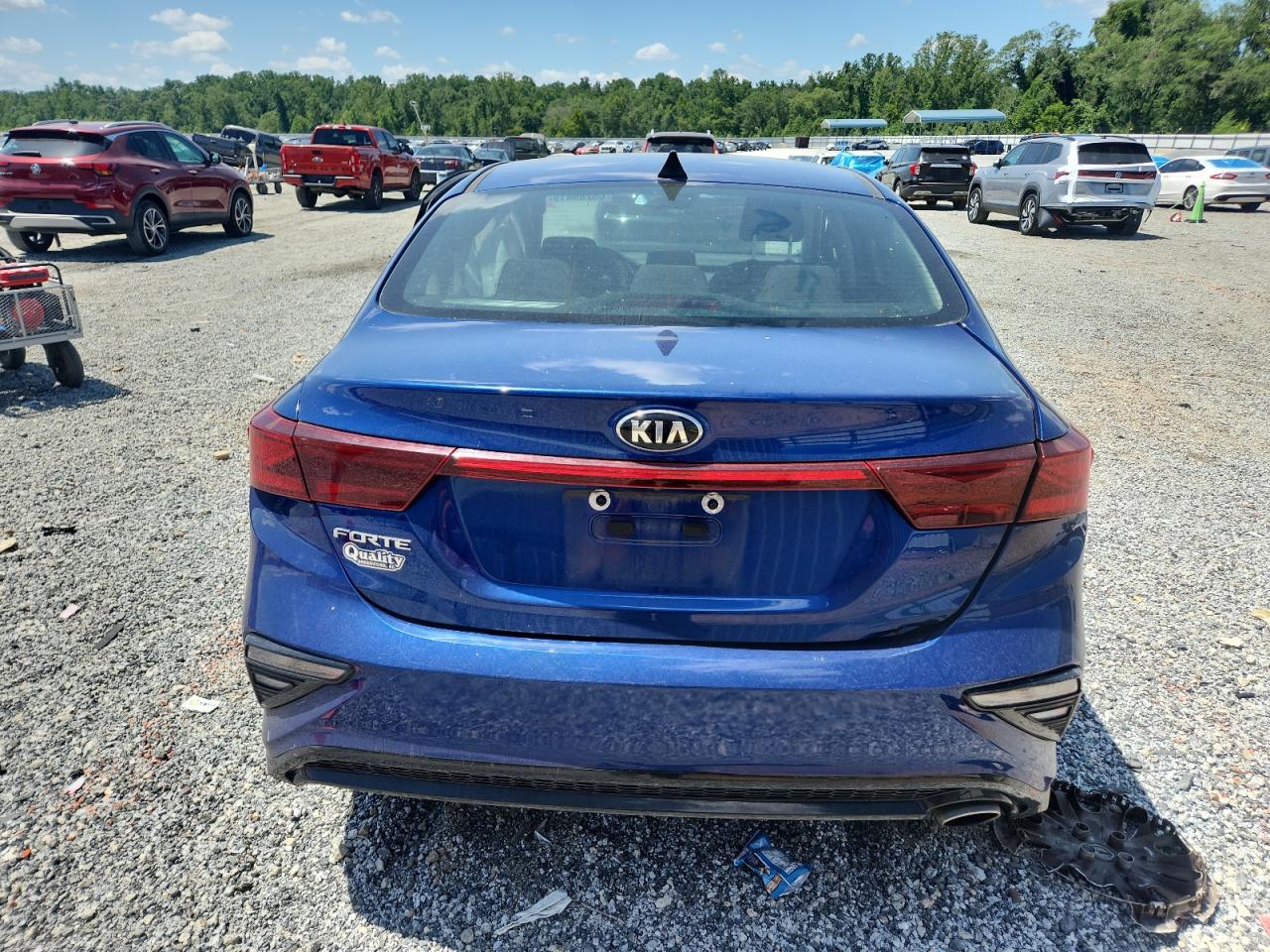 2020 Kia Forte Fe VIN: 3KPF24ADXLE170665 Lot: 65289815
