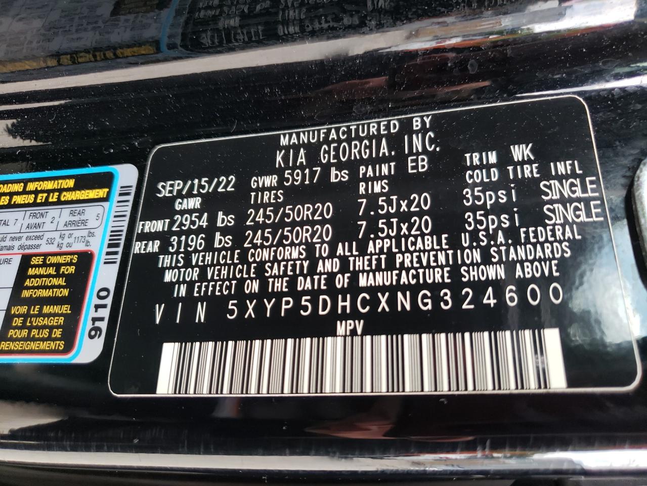 2022 Kia Telluride Sx VIN: 5XYP5DHCXNG324600 Lot: 63943025