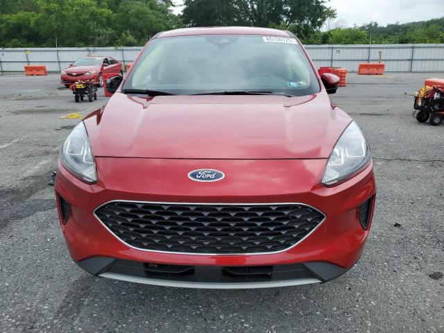  FORD ESCAPE 2020 Czerwony