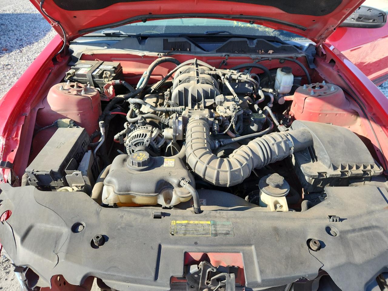 2010 Ford Mustang VIN: 1ZVBP8AN1A5138502 Lot: 63741585