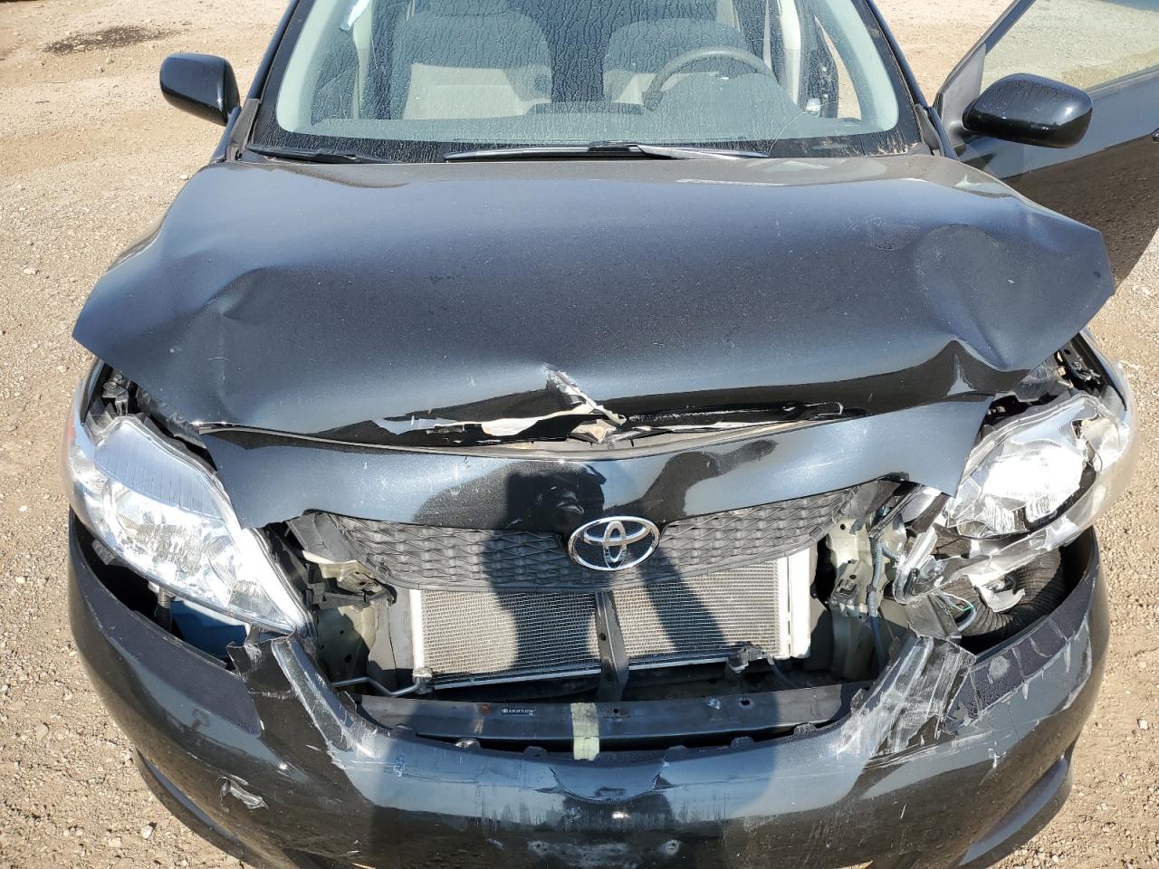 2009 Toyota Corolla Base VIN: JTDBL40E29J022687 Lot: 64607825