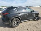 2025 LEXUS NX 350H BASE   for sale at Copart AB - EDMONTON