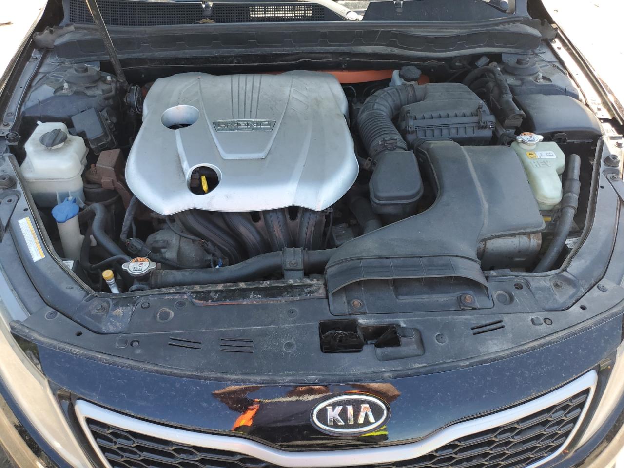 2012 Kia Optima Hybrid VIN: KNAGM4AD9C5018903 Lot: 63313305