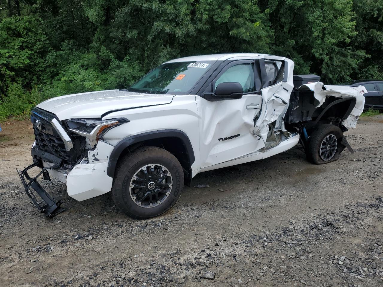 2024 Toyota Tundra Double Cab Sr VIN: 5TFLA5DA8RX130672 Lot: 63569615